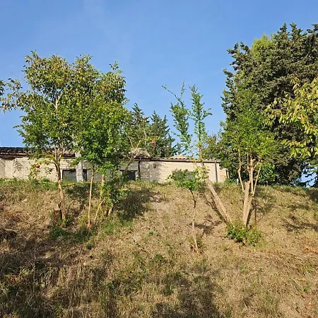 Bio At Us 3* Falerone