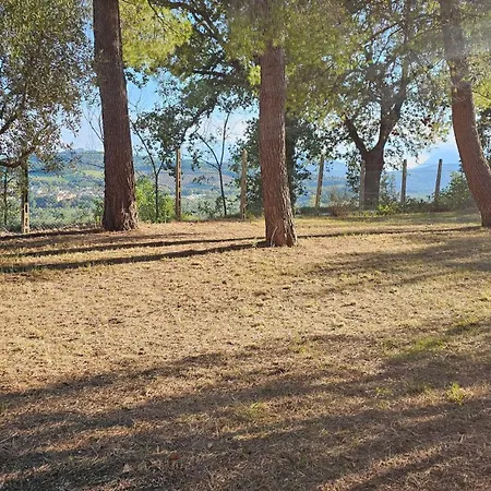 Bio At Us ベッド・アンド・ブレックファスト Falerone