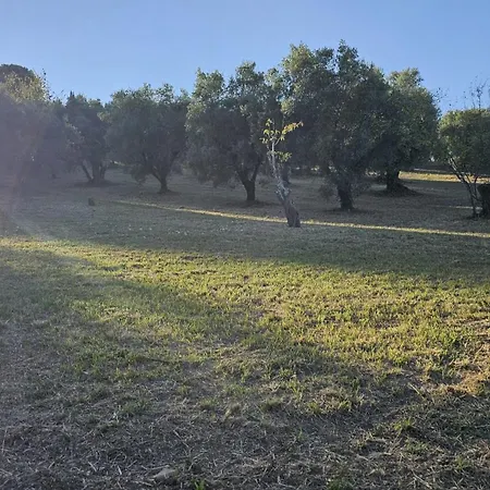 Bio At Us Panzió 3*