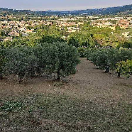 Panzió Bio At Us Falerone