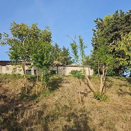 Bio At Us ベッド・アンド・ブレックファスト Falerone